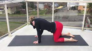 Getting your cat to roll over will probably take time and patience, along with plenty of tasty treats to keep her getting your cat to roll over is easier when you break the trick down into small parts. Cat Cow Barrel Rolls Youtube