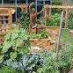 Nature Escape: Art at the Edible Classroom