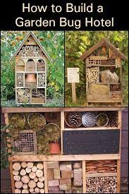Plants that killing japanese beetles are some of the most. How To Build A Garden Bug Hotel The Garden Bug Hotel Garden Bugs Bee Hotel