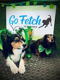 Profile for Tail's End Dog Grooming