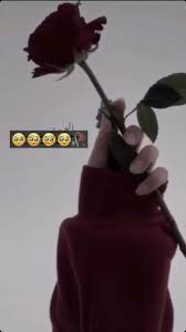 pin by angel on my videos cute instagram pictures cute couple videos love background images