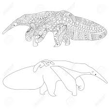 Have children draw ants (or fingerprint ants) close to the anteaters mouth after coloring the image. High Detail Patterned Illustration In Zen Tangle Style Adult Royalty Free Cliparts Vectors And Stock Illustration Image 63111557