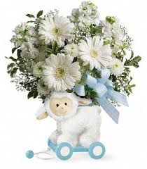 We're family owned and operated, and committed to. Sweet Little Lamb Baby Blue New Baby Flowers Flower Gift New Baby Products