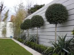 Neutral Colour Scheme Brought Into The Garden Wood Fence Stained Fence Gray Fence Small Garden Fence Modern Garden Contemporary Garden