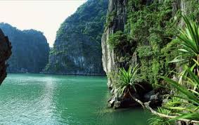 Call us at (+84)989 587 400 for inquire. Cruises In Junks In Ha Long Bay Vietnam Escapade