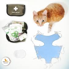 sterilizaciya koshek mify i realnost pikabu