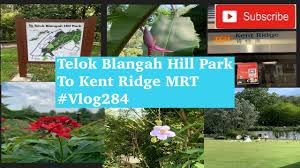 The mrt station is a hub for the town, and once enough enough developments are planned there, the government will come up with mrt stations there. Telok Blangah Hill Park To Kent Ridge Mrt Part2 Vlog284 Youtube