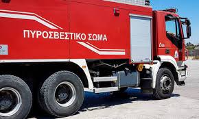 Ρόδος ξενοδοχεία όπου επιτρέπονται τα κατοικίδια. Fwtia Twra Sth Rodo Newsbomb Eidhseis News