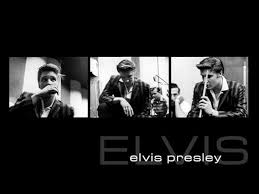 Elvis Presley: A Southern Life by Joel Williamson