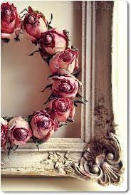 rosas e imagens drying roses dried flowers shabby chic decor