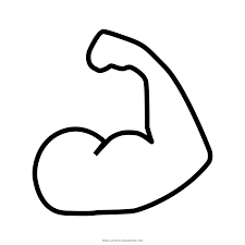 Arm muscles anatomy coloring pages sketch coloring page. Muscle Coloring Page Ultra Coloring Pages
