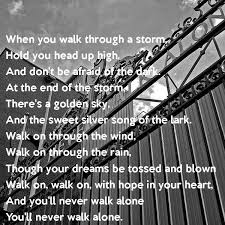 When You Walk Through A Storm Hold You Head Up High And Don T Be Afraid Of The Dark At The Afraid Of The Dark Songs Walking