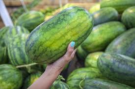 Jul 18, 2021 · always choose a watermelon that is heavy for its size as sweet and ripe watermelons are heavy due to the presence of larger amounts of water and fibers in them. How To Pick The Perfect Watermelon For A Sweet Summer Treat Clean Green Simple
