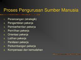 Pembangunan jabatan, hris, hubungan pekerja, latihan dan pembangunan, faedah, pampasan, pembangunan organisasi, pentadbiran eksekutif, dan pekerjaan. Bab 8 Pengurusan Sumber Manusia Ppt Download