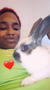 Bubbles is quite proud of her bunstruction this morning 🫧👷‍♀️