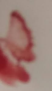 Image result for Lapointe the holy grail name