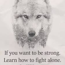 724 Followers 901 Following 8 272 Posts See Instagram Photos And Videos From Matt Tolbert Teachmehow2mattie Wolf Quotes Lone Wolf Quotes Lone Wolf