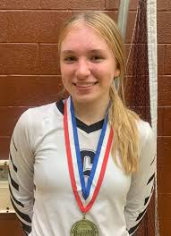 HS GIRLS VOLLEYBALL: North Pocono's Summa, Delaware Valley's Quinn named  all-state