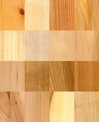 Wood Wikipedia