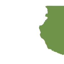 Image result for Megalochlamys revoluta