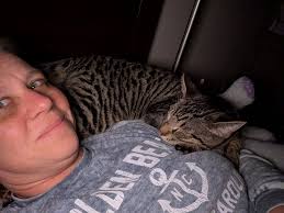 Rescued cat Waldo's story and animal abandonment discussion