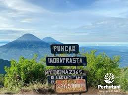 Puncak Bismo