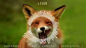Lisek is an urologist in hinsdale, illinois and is affiliated with multiple hospitals in the area, including northwestern medicine central dupage hospital and advocate good samaritan. Lisek Lakomczuszek Lukaszek0318 Remix Vixa Youtube