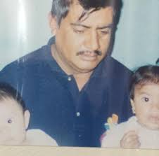 Hola tengo una cortadora new holland de tortugas pero me deja la alfalfa  regada y muy triturada. Que podrá ser soy nuevo en estas máquinas... Trae  martillo en lugar de rodillos. Tengo