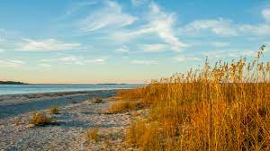 The apartments at shade tree. Edisto Beach Beach Review Conde Nast Traveler