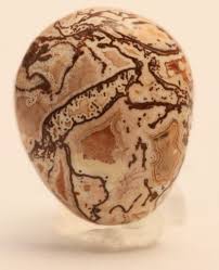 Image result for Agate Red Brown 1956 Wayne Works