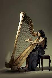 Pada sisi inilah, seorang harpist (pemain harpa) akan memainkan alat musik ini. Harpa Puteriragil