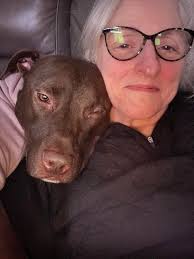 Any tips for a food-obsessed puppy?