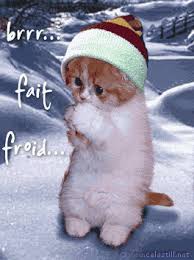 mercredi 15 janvier : le froid s'installe | Forum de reductions de  Clubpromos