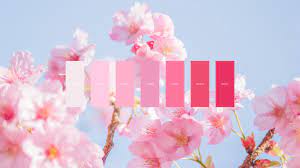 Do not request a wallpaper (eg: Cherry Blossom Color Palette 3840x2160 Wallpaper