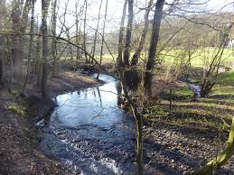 Browse all of the details of each route below — and explore more of the nature around velbert. Rund Um Langenberg Ab Nierenhof Wanderung Outdooractive Com