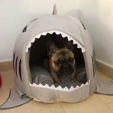 It's the perfect space for your kitty. Hifrenchies Shark Pet House Frenchie Shark House Washable Dog Cave Bed With Removable Cushion Mat Shark Cat Bed For Dogs And Cats Small Blue Dogs 582 Crates Houses Pens