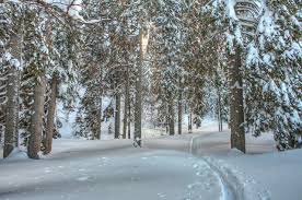 This video tutorial shows how to correctly use it. Images Hdri Winter Nature Snow Forest Trees Seasons
