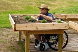 Wheelchair Gardening What A Great Idea Building A Raised Garden Raised Garden Beds Raised Garden