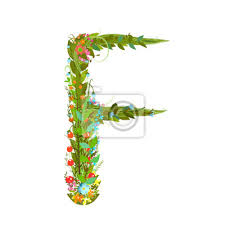 Johnson, university of rhode island, kingston, rhode island, usa 1981: Alphabet Buchstaben F Elegante Blume Bluhen Botanische Zeichen Fototapete Fototapeten Rudiment Mehrfarben Komplizierte Myloview De
