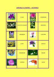Grape hyacinths are the perfect flowers for attracting birds to your yard, and their blue coloring is stunning. English Worksheets Spring Flowers Domino