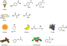 What is the most common flavoring?