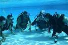 Commercial Diver Training, The Underwater Centre