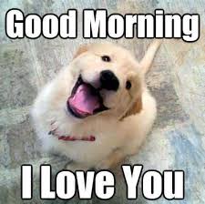 We did not find results for: Wholesome Love Meme Dump Album On Imgur