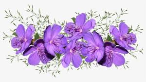 Free clip art vector design of purple bell flowers svg has been published by downloadclipart.net. Purple Flowers Png Images Free Transparent Purple Flowers Download Kindpng