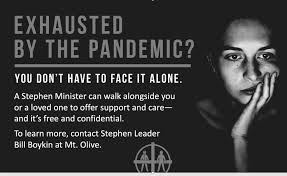 4.21 Olive Leaves Final