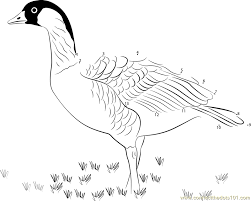 Have fun learning more about the state of hawaii with this free hawaii crossword printable! Nene State Bird Of Hawaii Dot To Dot Printable Worksheet Connect The Dots