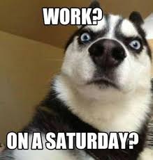 All people get stressed out when we're left out. 95 Funny Saturday Memes With Hilarious Images Littlenivi Com