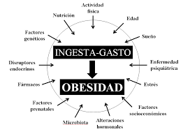 1 comorbilidades asociadas a obesidad. Https Www Seedo Es Images Site Consensoseedo2016 Pdf
