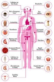 The cause of your knee pain can determine the exact signs and symptoms you may experience. Caffeine Article Healthline Com By Lauren Hayley