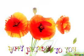 Maybe you would like to learn more about one of these? Download Free Picture Happy Birthday Card Bright Poppies Flowers On Cc By License Free Image Stock Torange Biz Fx 36066